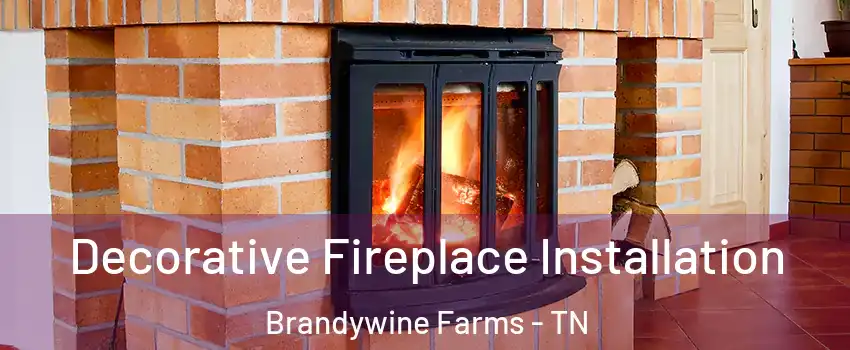 Decorative Fireplace Installation Brandywine Farms - TN