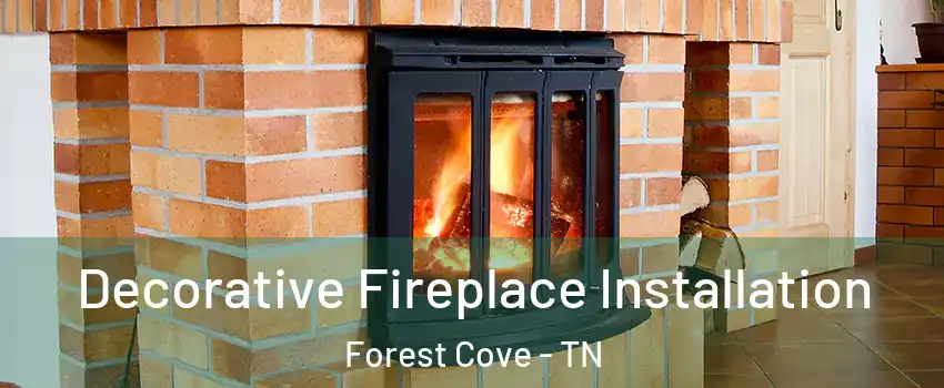 Decorative Fireplace Installation Forest Cove - TN