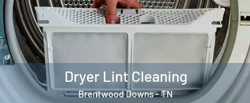Dryer Lint Cleaning Brentwood Downs - TN