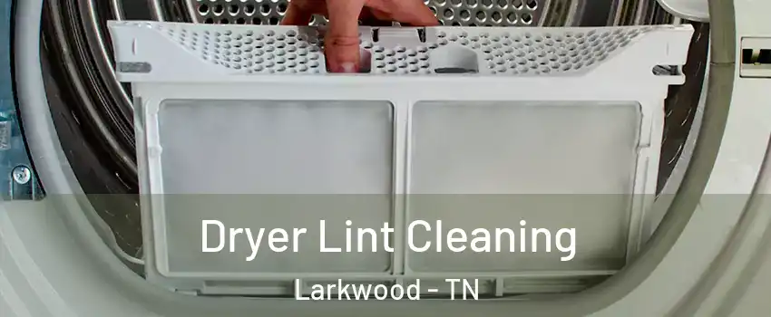 Dryer Lint Cleaning Larkwood - TN