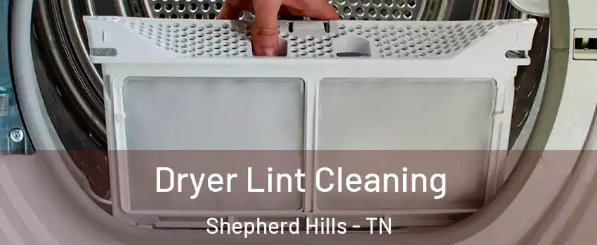 Dryer Lint Cleaning Shepherd Hills - TN
