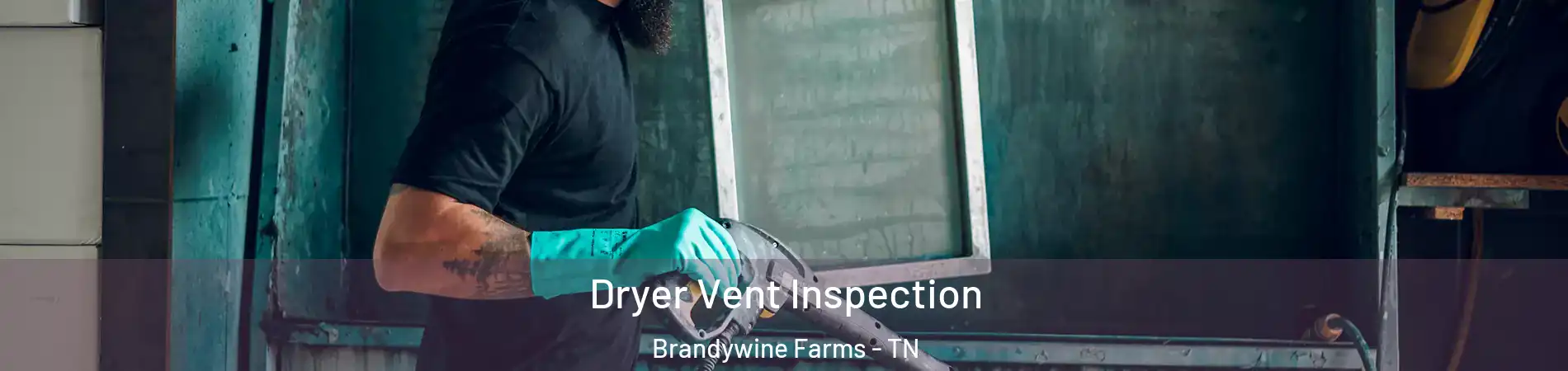 Dryer Vent Inspection Brandywine Farms - TN