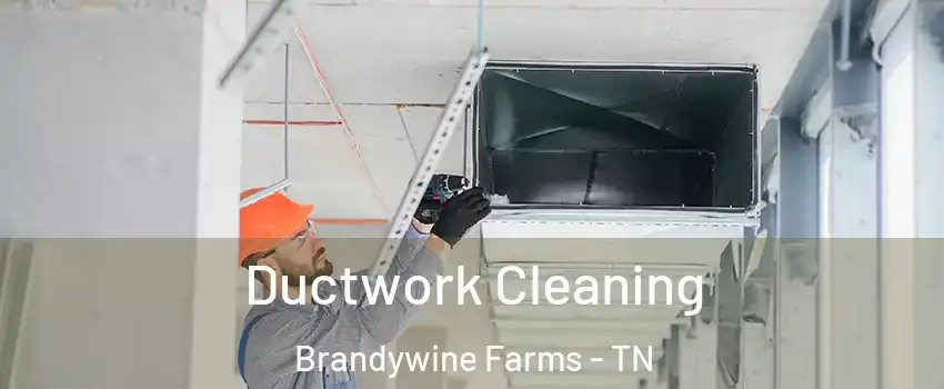Ductwork Cleaning Brandywine Farms - TN