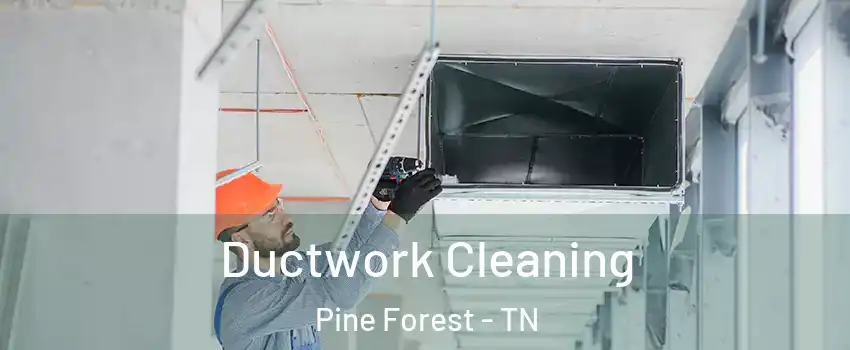 Ductwork Cleaning Pine Forest - TN