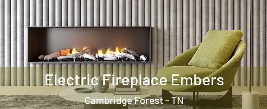 Electric Fireplace Embers Cambridge Forest - TN