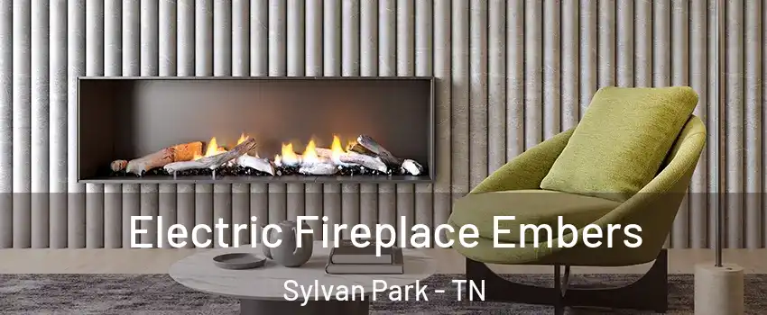 Electric Fireplace Embers Sylvan Park - TN
