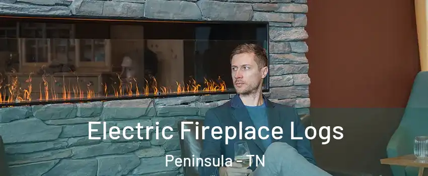 Electric Fireplace Logs Peninsula - TN
