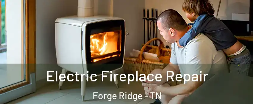 Electric Fireplace Repair Forge Ridge - TN