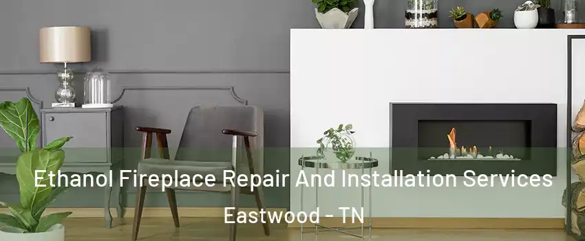 Ethanol Fireplace Repair And Installation Services Eastwood - TN