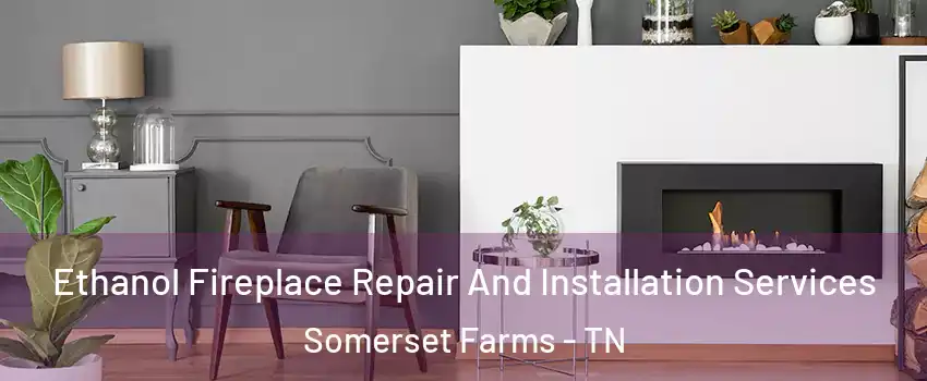 Ethanol Fireplace Repair And Installation Services Somerset Farms - TN