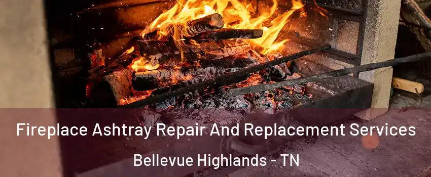 Fireplace Ashtray Repair And Replacement Services Bellevue Highlands - TN