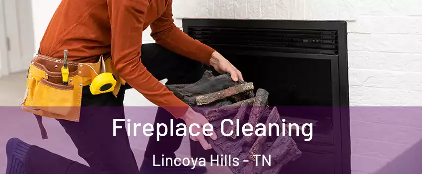 Fireplace Cleaning Lincoya Hills - TN
