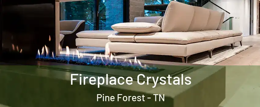 Fireplace Crystals Pine Forest - TN