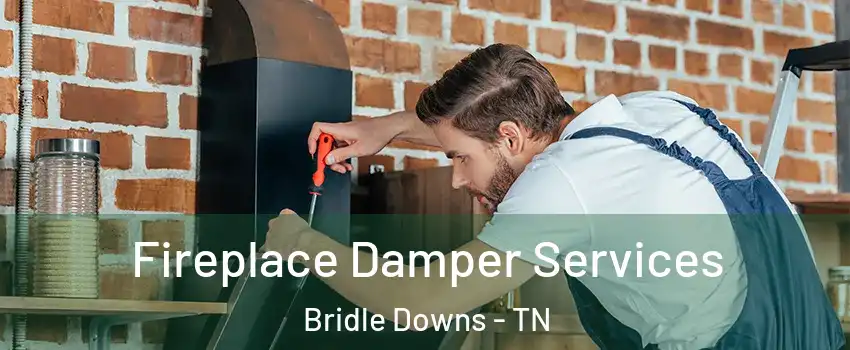 Fireplace Damper Services Bridle Downs - TN