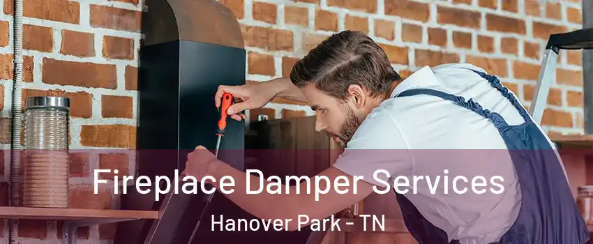 Fireplace Damper Services Hanover Park - TN