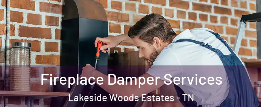 Fireplace Damper Services Lakeside Woods Estates - TN