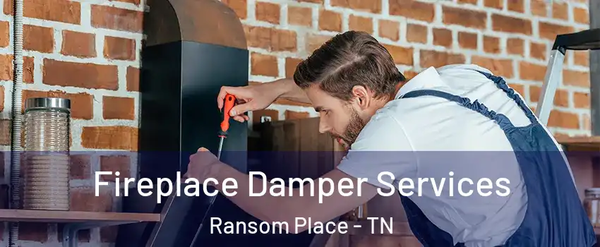 Fireplace Damper Services Ransom Place - TN