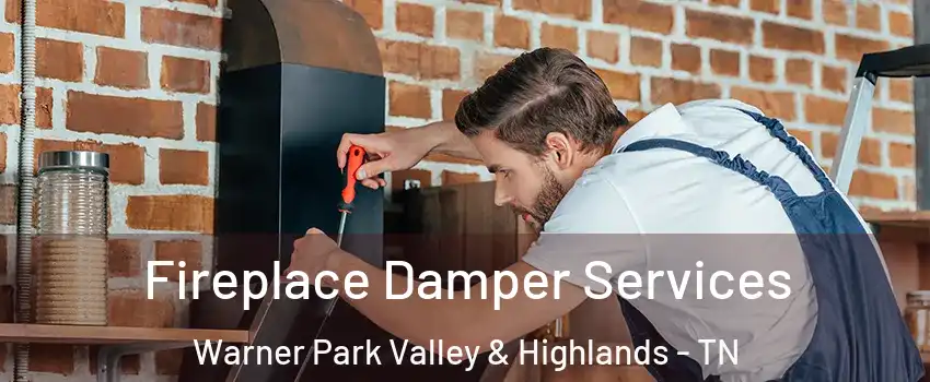 Fireplace Damper Services Warner Park Valley & Highlands - TN