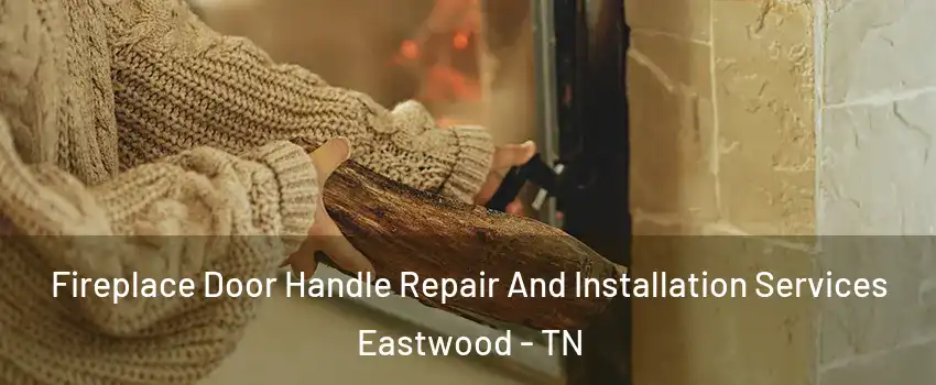 Fireplace Door Handle Repair And Installation Services Eastwood - TN