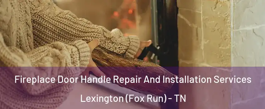 Fireplace Door Handle Repair And Installation Services Lexington (Fox Run) - TN