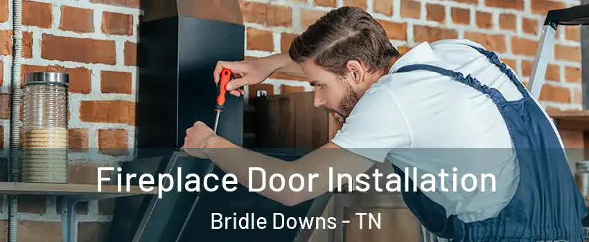 Fireplace Door Installation Bridle Downs - TN