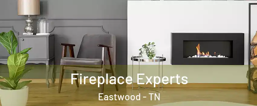 Fireplace Experts Eastwood - TN