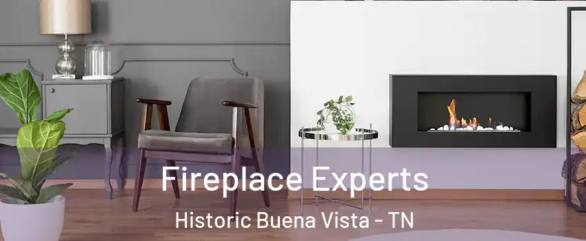Fireplace Experts Historic Buena Vista - TN