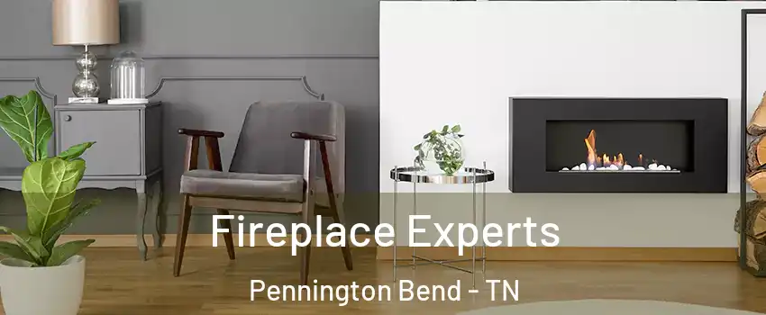 Fireplace Experts Pennington Bend - TN