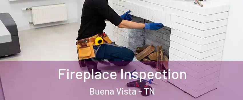 Fireplace Inspection Buena Vista - TN