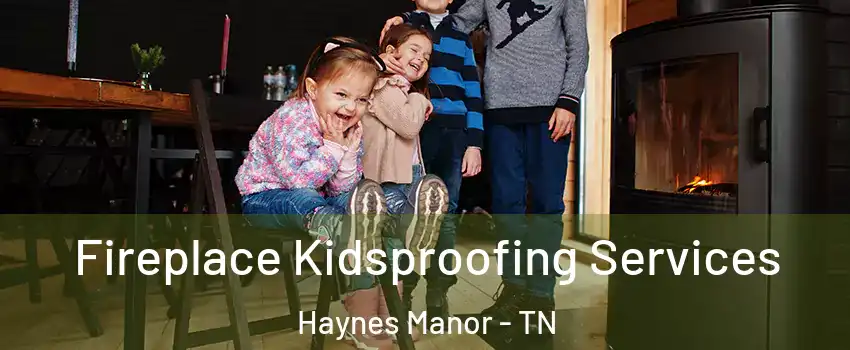 Fireplace Kidsproofing Services Haynes Manor - TN