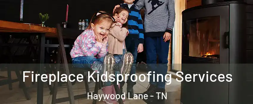 Fireplace Kidsproofing Services Haywood Lane - TN