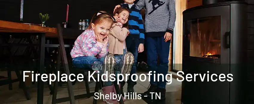 Fireplace Kidsproofing Services Shelby Hills - TN