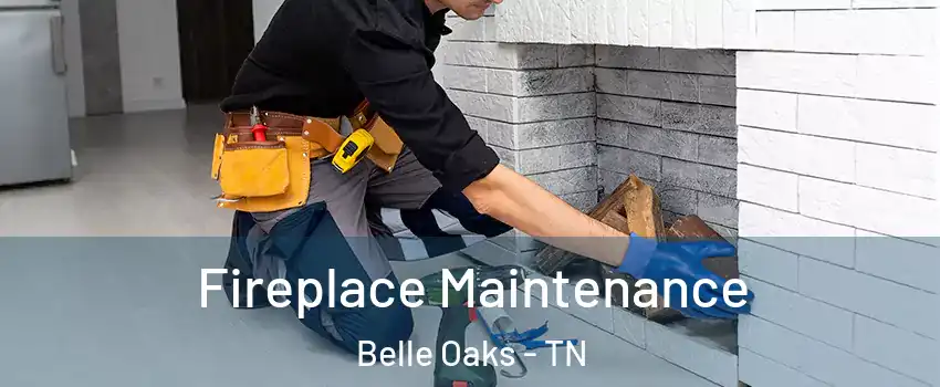 Fireplace Maintenance Belle Oaks - TN