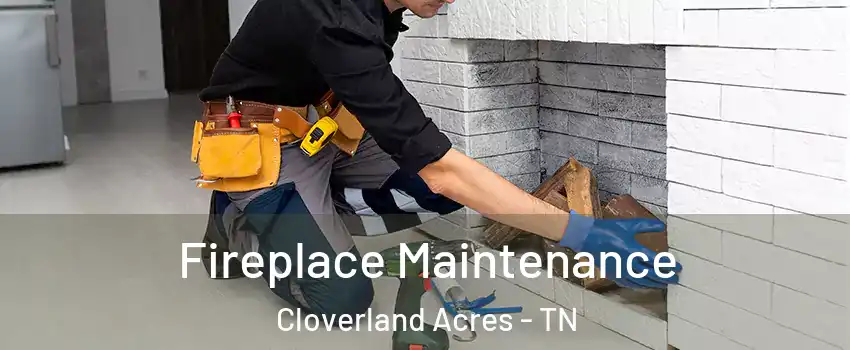 Fireplace Maintenance Cloverland Acres - TN