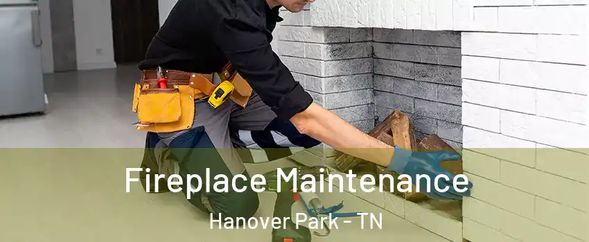 Fireplace Maintenance Hanover Park - TN