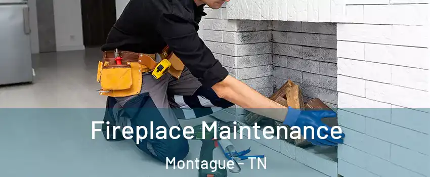 Fireplace Maintenance Montague - TN