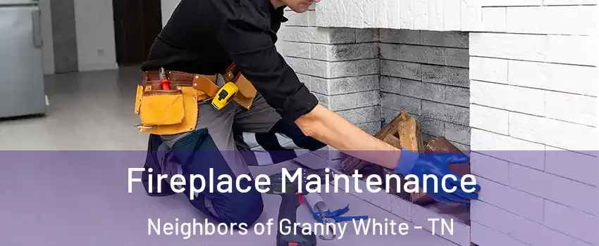 Fireplace Maintenance Neighbors of Granny White - TN