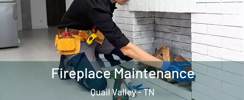 Fireplace Maintenance Quail Valley - TN