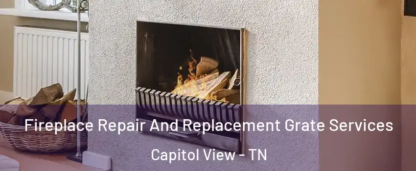 Fireplace Repair And Replacement Grate Services Capitol View - TN