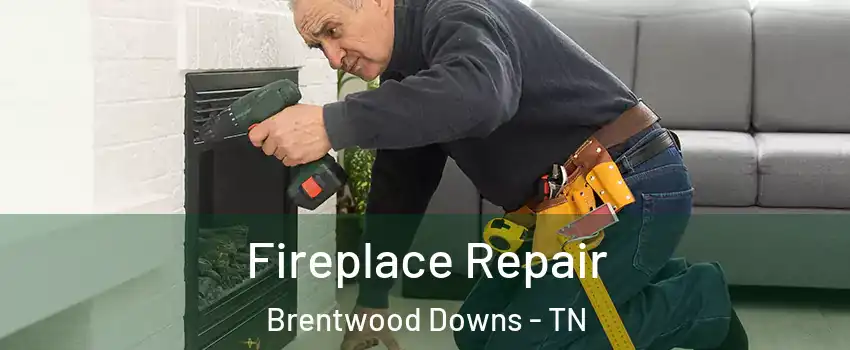 Fireplace Repair Brentwood Downs - TN