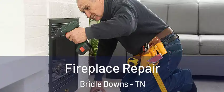 Fireplace Repair Bridle Downs - TN