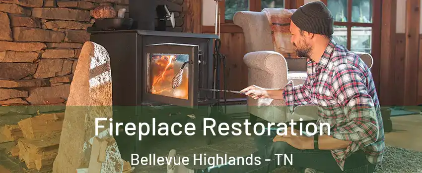Fireplace Restoration Bellevue Highlands - TN