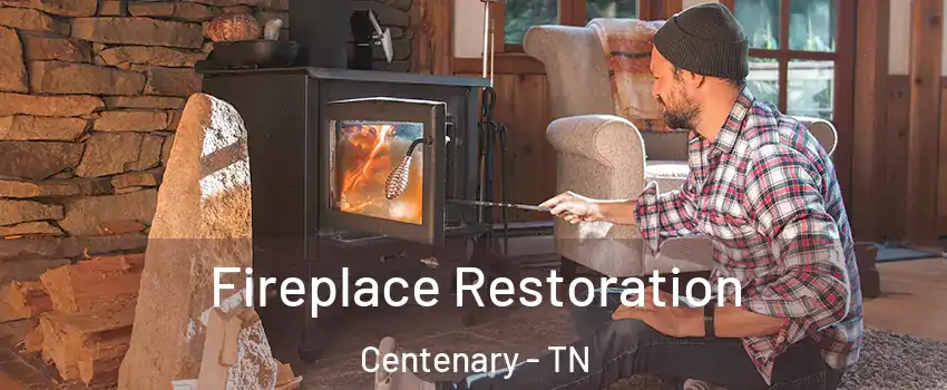 Fireplace Restoration Centenary - TN