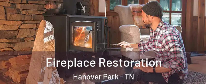Fireplace Restoration Hanover Park - TN