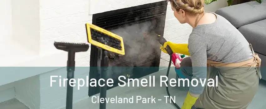 Fireplace Smell Removal Cleveland Park - TN