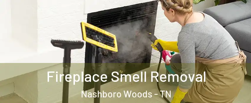 Fireplace Smell Removal Nashboro Woods - TN