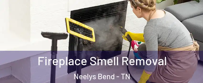 Fireplace Smell Removal Neelys Bend - TN