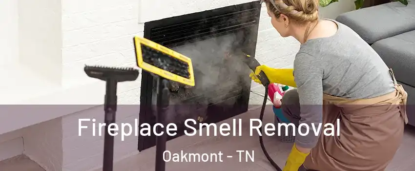Fireplace Smell Removal Oakmont - TN