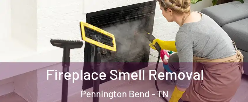 Fireplace Smell Removal Pennington Bend - TN