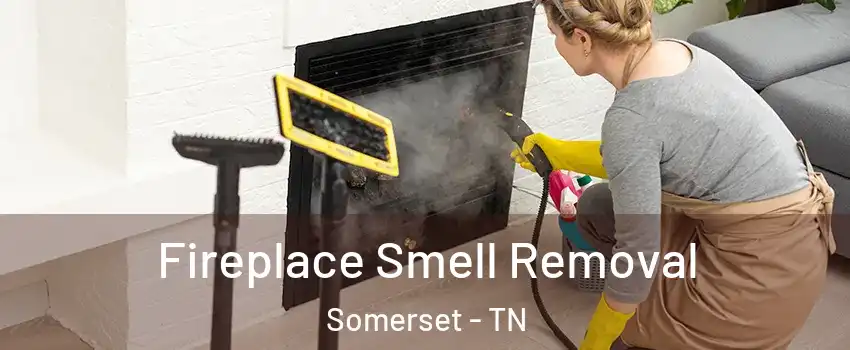 Fireplace Smell Removal Somerset - TN
